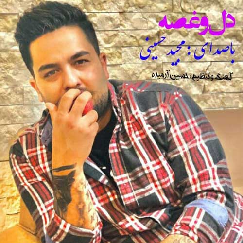 آهنگ دل غصه از مجید حسینی